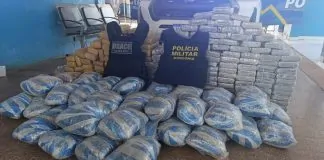 Apreensão de 250 quilos de skunk em São Francisco do Guaporé