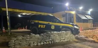 PRF apreende mais de 200 kg de “supermaconha” na BR-364 em Porto Velho/RO