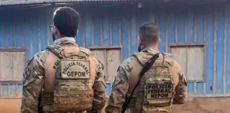 PF deflagra operação contra extração ilegal de madeira em terra indígena de Guajará-Mirim