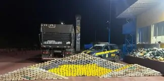 PRF apreende mais de 1,1 tonelada de drogas e duas pistolas durante fiscalização na BR-262, em Mato Grosso do Sul