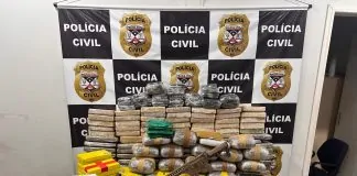 POLÍCIA CIVIL APREENDE CERCA DE 146 KG DE DROGAS, NOVE ARMAS DE FOGO E MUNIÇÕES EM NOVA MAMORÉ