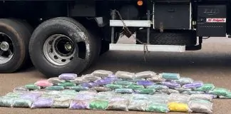 Quase 100 kg de cocaína são apreendidos em caminhão durante operação