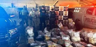 POLÍCIA CIVIL INCINERA MEIA TONELADA DE DROGAS EM NOVA MAMORÉ