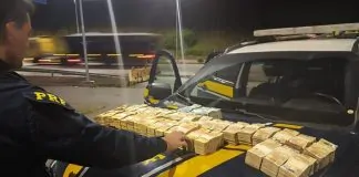 PRF apreende mais de R$ 870 mil em dinheiro durante fiscalização na BR-381, em Minas Gerais
