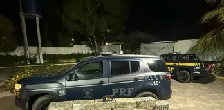 PRF apreende 450 quilos de cocaína e comprimidos de anfetaminas em caminhão na BR-222, no Maranhão